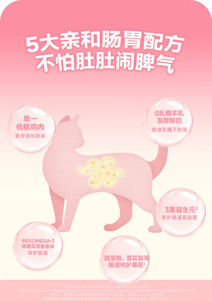 Bear Puree Fruit Yogurt Bowl Complete Meal Box🐱40g*6