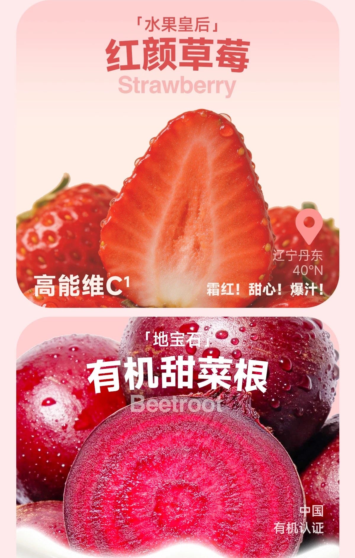 Bear Puree Fruit Yogurt Bowl Complete Meal Box🐱40g*6
