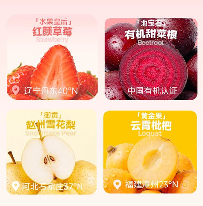 Bear Puree Fruit Yogurt Bowl Complete Meal Box🐱40g*6