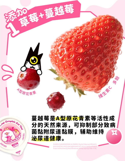 Double Berry Coco Complete Wet Food🐱50g*4