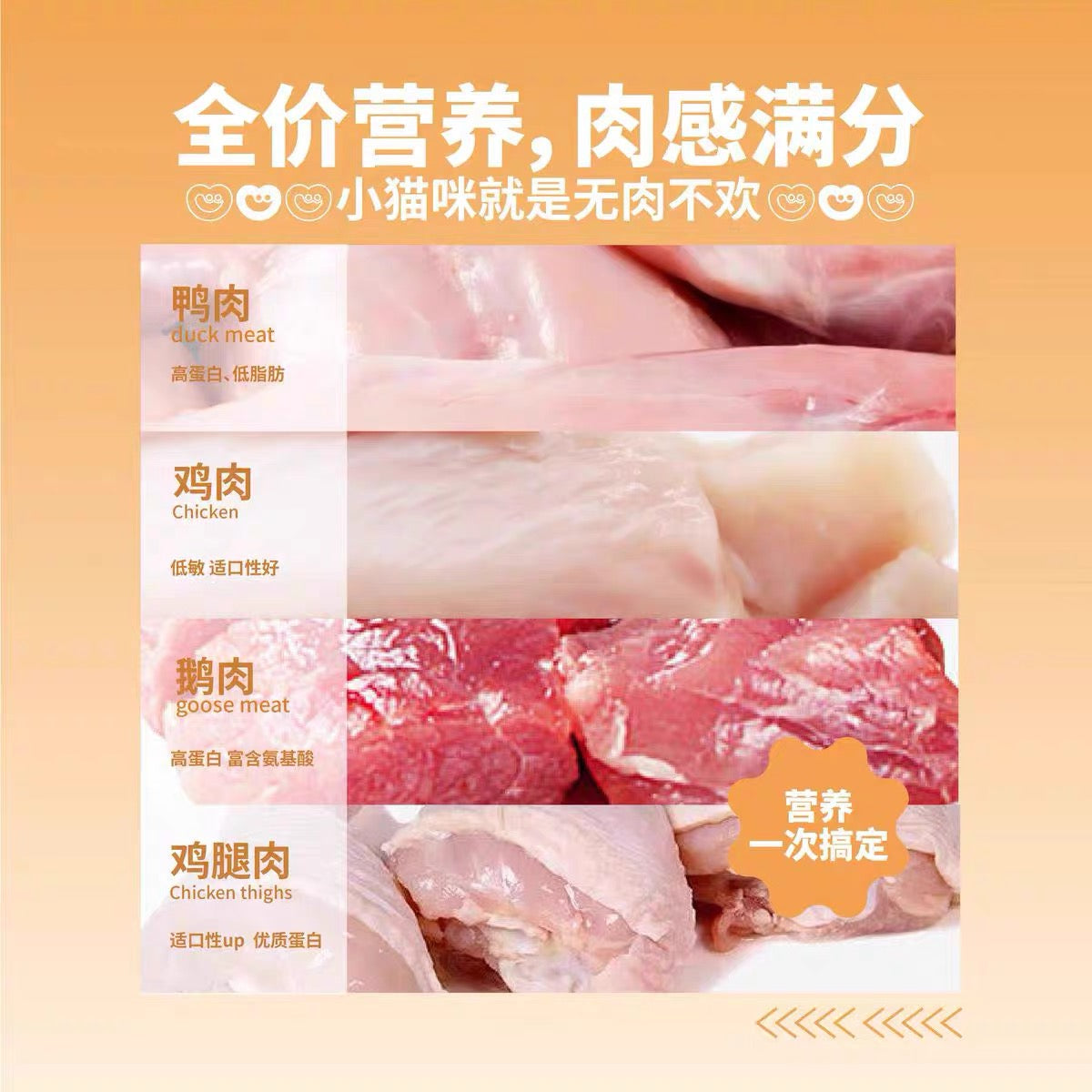 Complete Staple Meal Pouch🐱80g