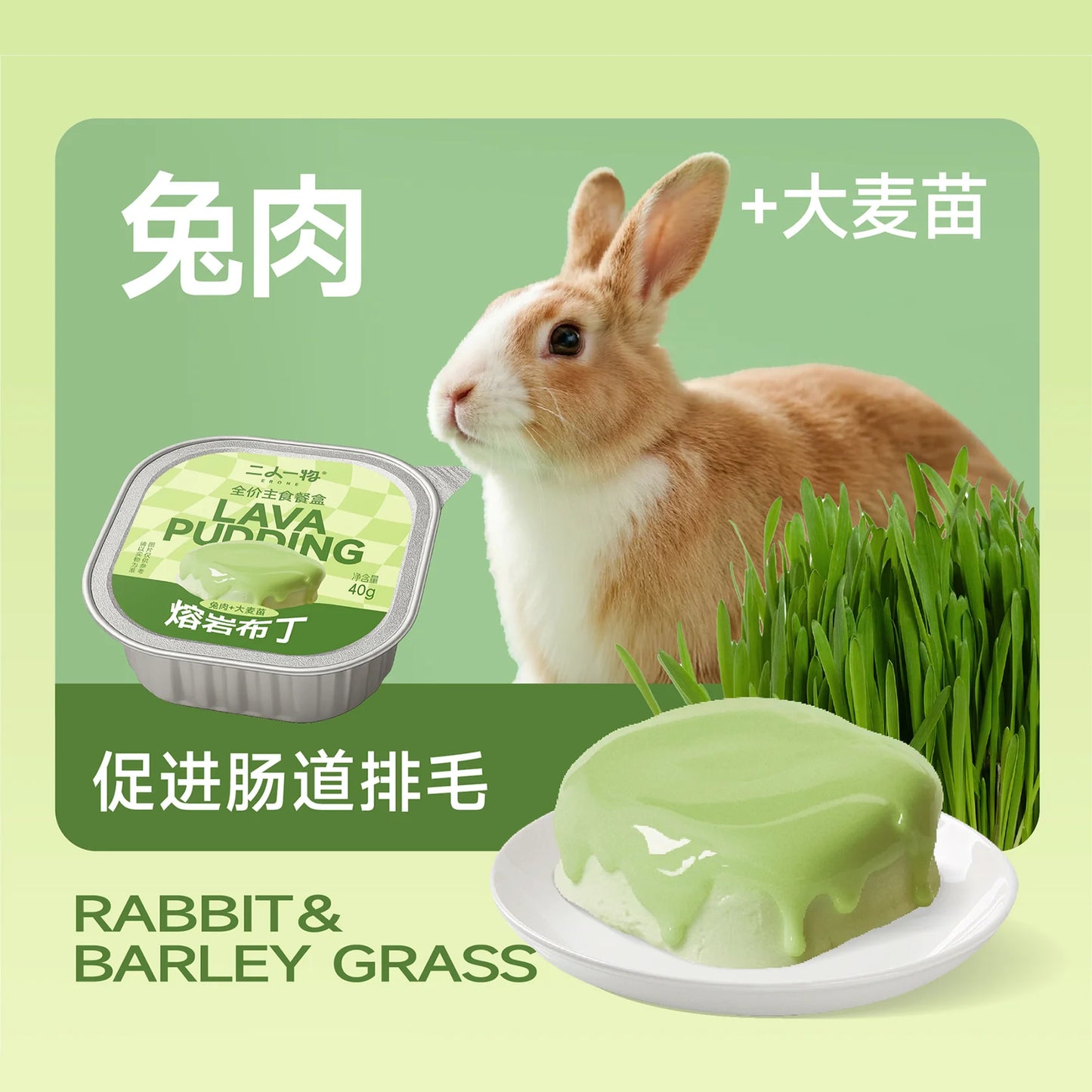 Lava Pudding Complete Staple Food🐶🐱40g